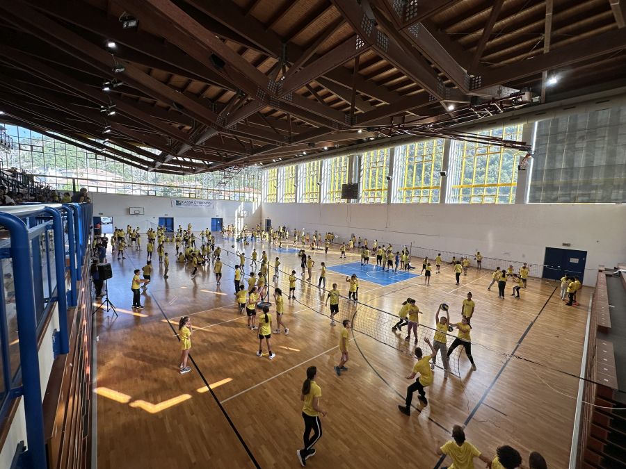 Evviva La Pallavolo Evviva Il BIG School